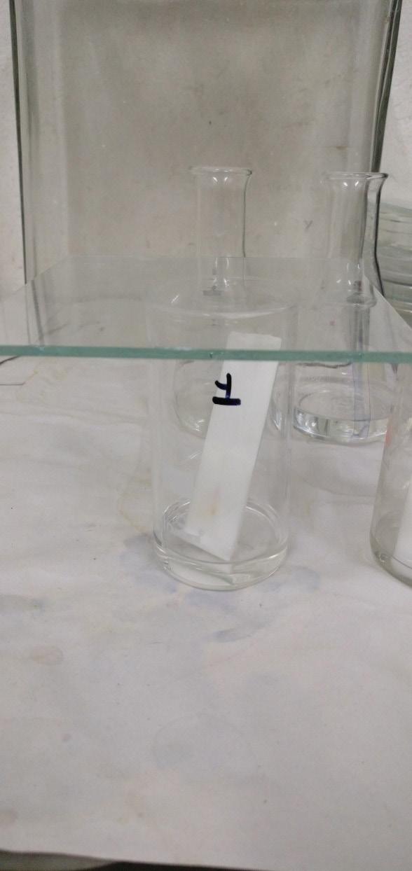 By using solvent solvents extraction protocol, the crude fungal extraction produced yield enough for the experimental study and it is the most commonly used and cheap, simple method of fungal active
