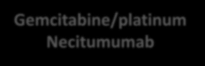 Gemcitabine/platinum Necitumumab Nab-pac, nab-paclitaxel; PD-L1, programmed death ligand 1;