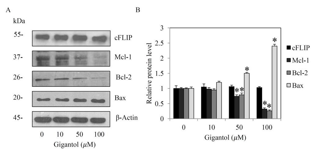 Charoenrungruang et al., 2014 71 Figure 4 Gigantol mediates lung cancer apoptosis via mitochondrial-dependent mechanism. A: H460 cells were treated with gigantol (0-100 μm) for 24 h.
