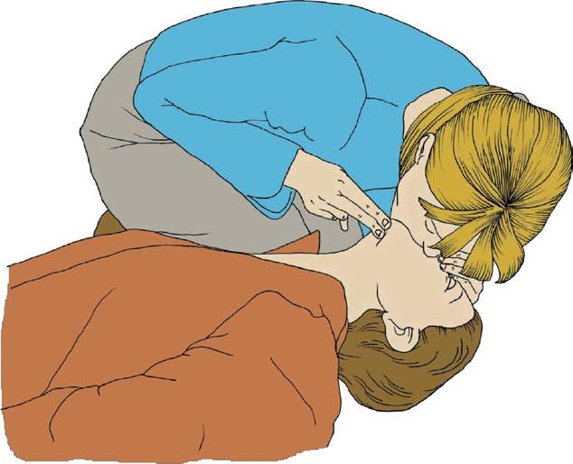 S12 Figure 2.13 Blow steadily into his mouth whilst watching for his chest to rise. 2005 European Resuscitation Council.