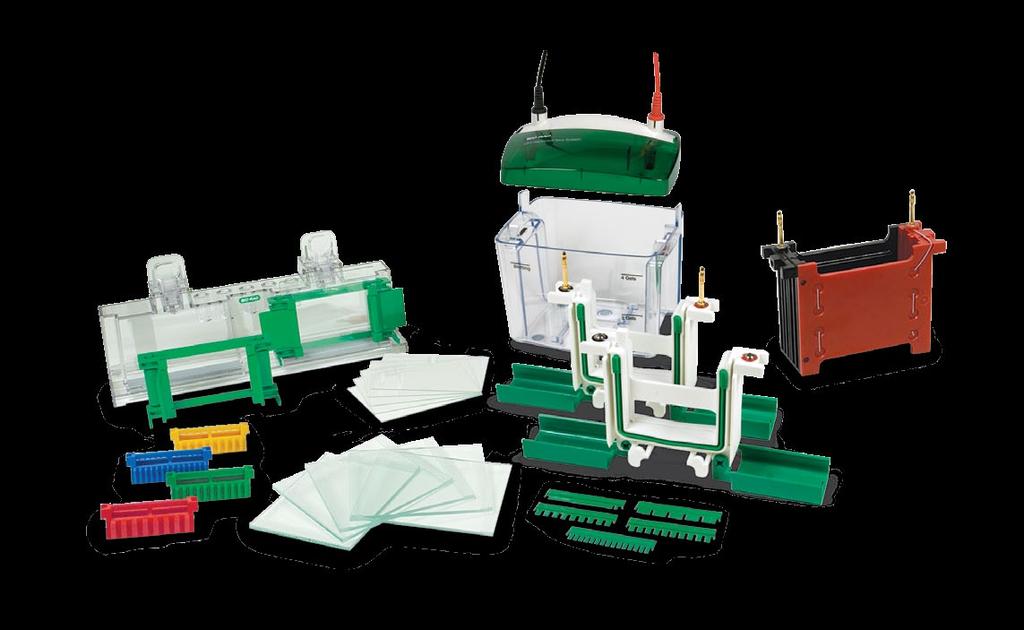 Mini-PROTEAN Gel Electrophoresis System Configurations for Many Applications Interchangeable modules easily convert a Mini-PROTEAN Tetra cell from one application to another.