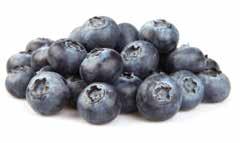 Solufeed Blueberry Special contains a balanced range of macro and micro nutrients to maximise the marketable yield of Blueberries.
