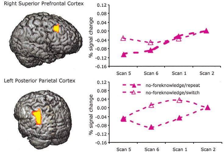 Table 3. Transition effects Regions Size Maximum F (average F) Coordinates* x y z With foreknowledge Posterior cingulate (BA 31) 18 6.29 (9.27) 6 22 37 Right occipital (BA 19) 11 6.17 (7.