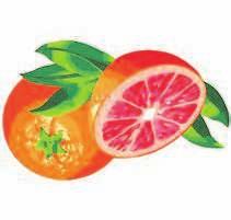 MedinePlus recommends avoiding grapefruit juice if you are taking stans.