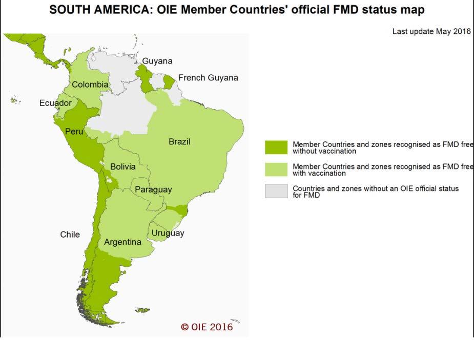 G. POOL 7 South America Global Foot-and-Mouth Disease Situation 2, 16 South America The OIE FMD status of the countries in South America as reported in May 2015 is presented in Map 12.