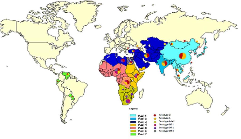 MAP 1:Foot-and-mouth disease (FMD) virus pools: world distribution by serotype in 2011-2015 II.
