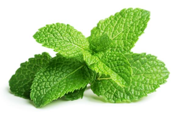 the truth about menthol WHAT IS MENTHOL? Menthol is a chemical compound extracted from the peppermint or corn mint plant or created synthetically.