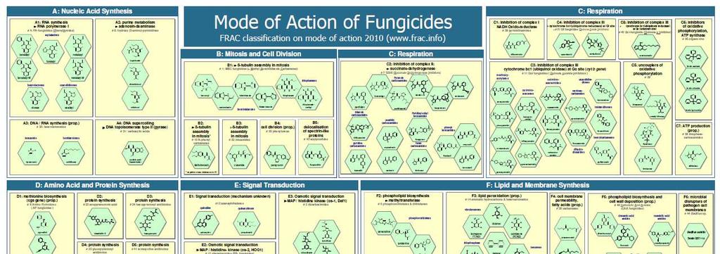Grouping of fungicides by FRAC DMI 33.5 bn 1980-2009* 2.