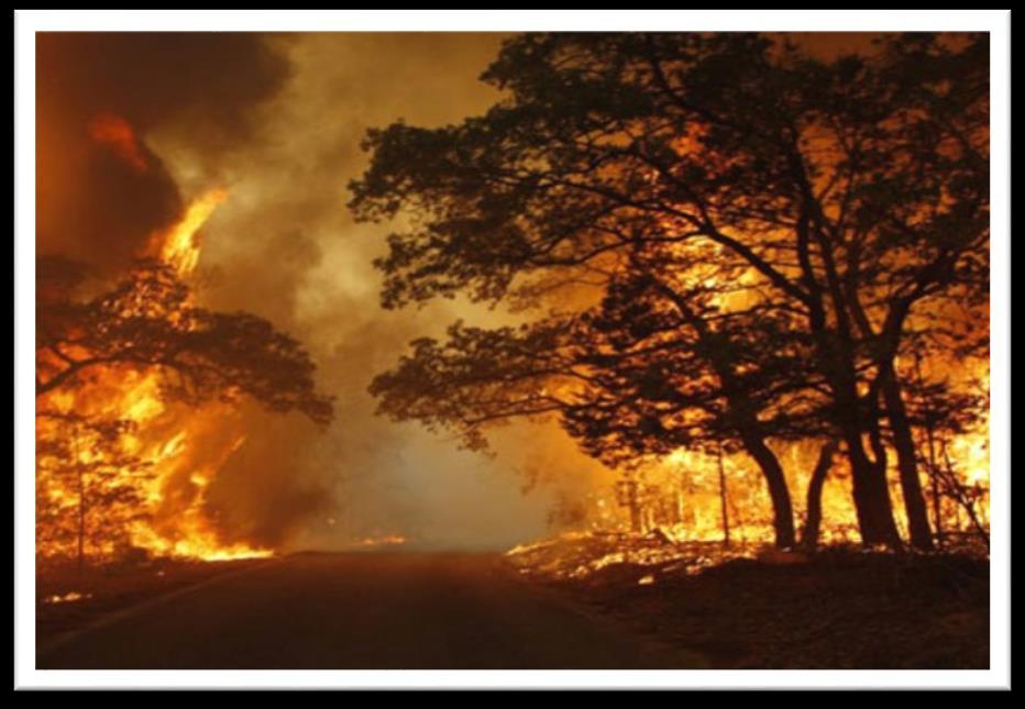 Bastrop County 2011 Complex Fires Destroyed 1691 homes, 38 businesses, burned over 34,000 acres and killed 2 people.