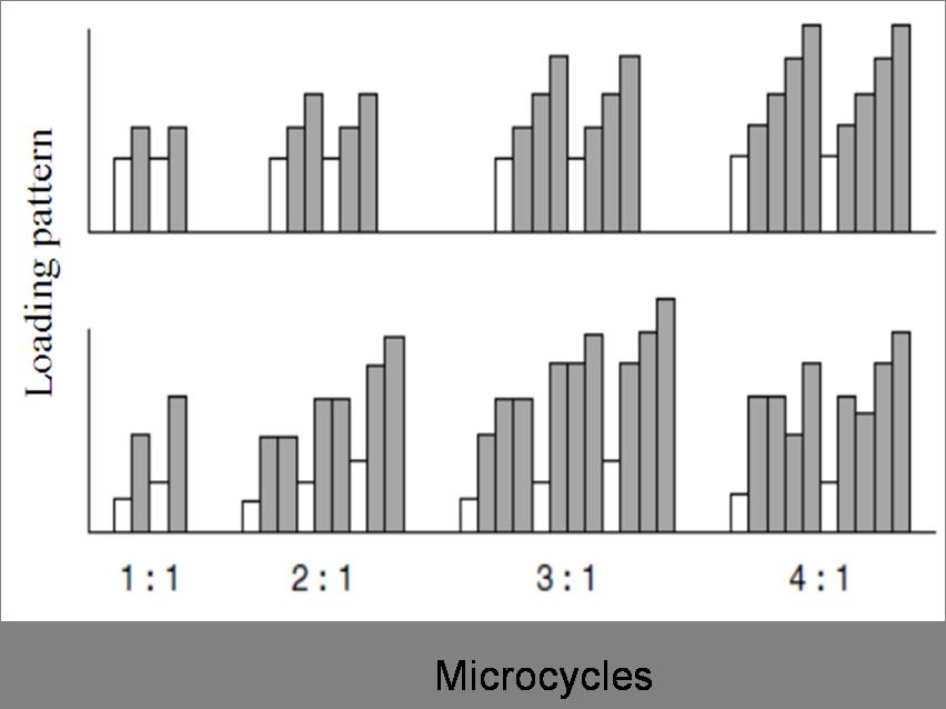 Figure 2. Example of different microcycles pattern paradigms.