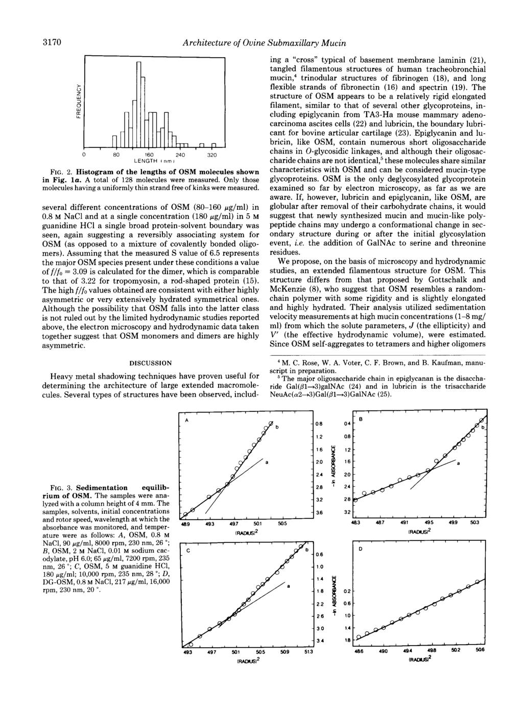 3170 Architecture of Ovine Submaxillary Mucin 0 60 160 240 320 LENGTH lnml FIG 2 Histogram of the lengths of OSM molecules shown in Fig la A total of 128 molecules were measured Only those molecules