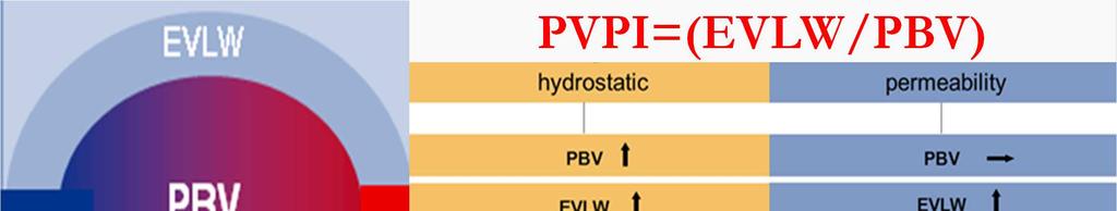 PVPI (Pulmonary Vascular Permeability Index) P