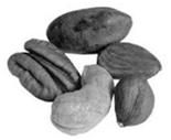 nuts/day; vs. 3) a low fat diet (the control) Results: 288 cardiovascular events occurred: 3.