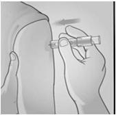 Intradermal Injection Technique 1 (cont d) 3. Insert the needle rapidly and perpendicular to the skin, in the deltoid region, in a short, quick movement 4.