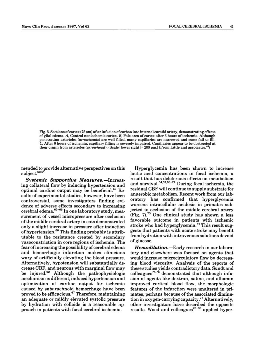 Mayo Clin Proc, January 1987, Vol 62 FOCAL CEREBRAL ISCHEMIA 41 sm&ä <*,«Fig. 5.