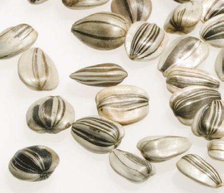 6 Sunflower seeds originated in North America. The history of conventional sunflower usage by humans can be traced to the Hopi and other Native American tribes of the arid southwestern United States.