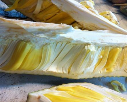 2.6 Jackfruit Rind Jackruit rind (Plate 2.3), which includes perianths of unfertilised fruits, has been genereally processed to produce syrups and jellies due to its good basis of pectin.