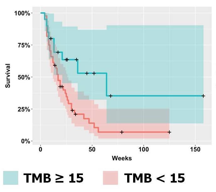 TMB Correlated with Time on Immunotherapy in NSCLC Comprehensive genomic profiling (CGP) to assess TMB and MSI status Analysis of 64 NSCLC patients TMB (mut/mb) Median time on anti-pd-1/pd-l1 15 64
