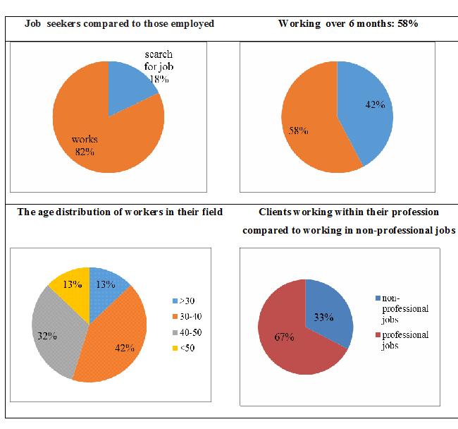 Volume 20, Number 2 July 2016 December 2016 (2) Figure 1 - Occupational characteristics summarizing 12 months during 2015 (N=80) (2) Online supported employment for academics and professionals with