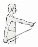 RESISTED SCAPULA STRENGTHENING Scapula strengthening exercises include locked elbow extension to work the trapezius, press up plus reaching toward the ceiling to work the