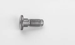 096 Sirus Cap screw, for femur L Graphic case for implants, femur (with content),