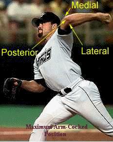 Mechanics: Stresses in the arm HIRTs Humeral Internal Rotation Torques Measure of