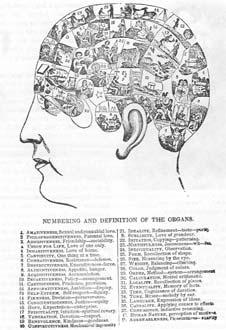 Phrenology (1758-1828) was born in Tiefenburnn in Baden, a region in southwestern Germany. As a physician and anatomist, Gall made some excellent contribution to 19th century science.