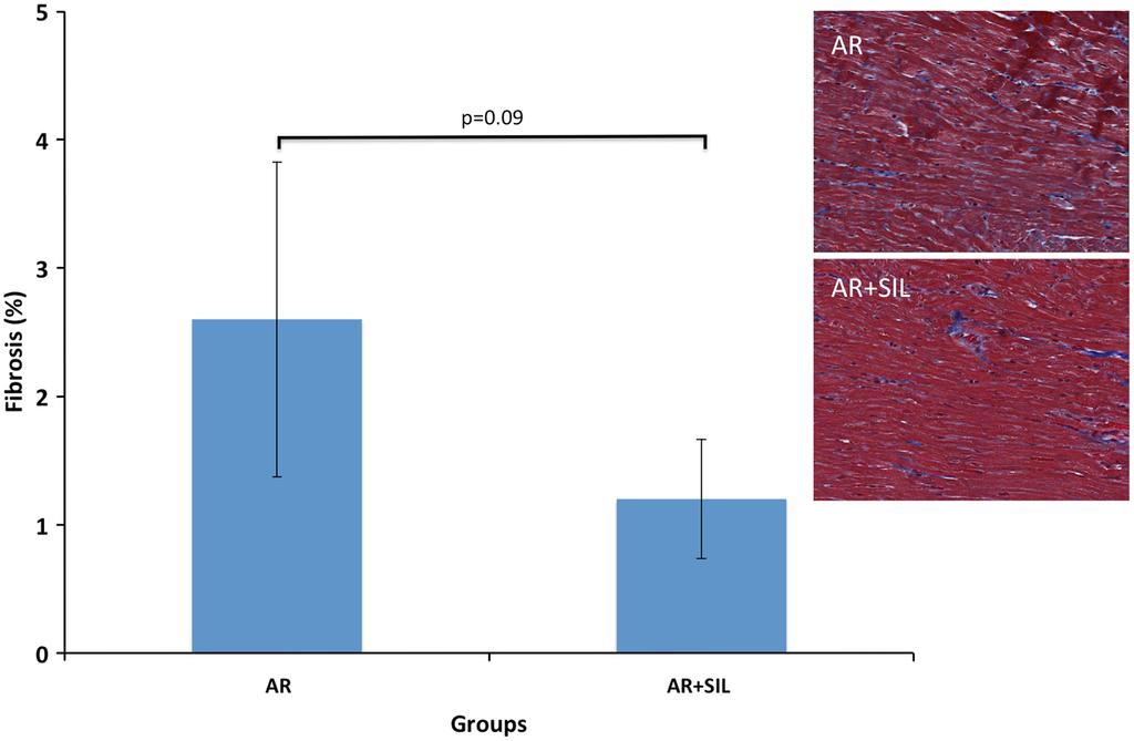 Eskesen et al. SpringerPlus (2015) 4:592 Page 7 of 10 Fig. 4 Fibrosis. Bars indicate degree of collagen fibrosis (%) in LV in untreated (AR) and treated (AR + SIL) rats.