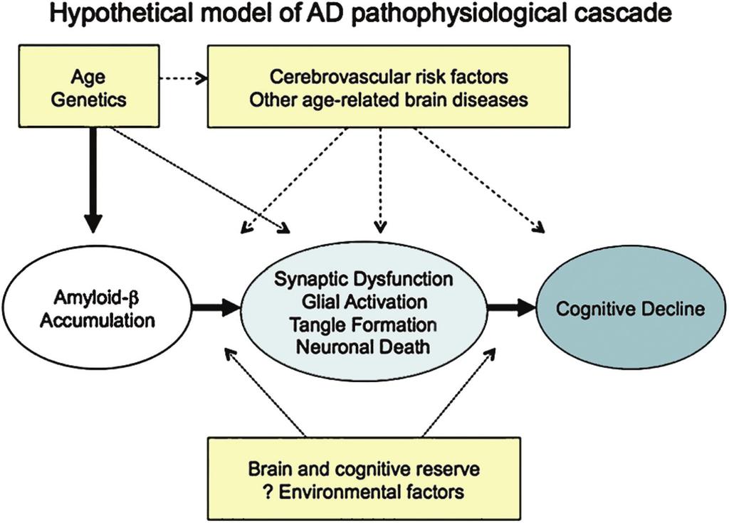 REVIEW Dementia due to AD is characterized by changes in two or more aspects of cognition and behaviour that interfere with function in everyday life.