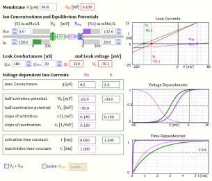 10 SimNeuron Tutorial In the lower part, the numerical parameters of the Voltage-Dependent Ion-Currents are given according to the equations on the left.