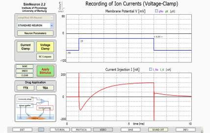 6 SimNeuron Tutorial 3. Basic VOLTAGE-CLAMP Experiments 3.1 Capacitive and Voltage-dependent Currents during a Voltage-Clamp Pulse Go to the voltage clamp lab with click on the VOLTAGE CLAMP button.
