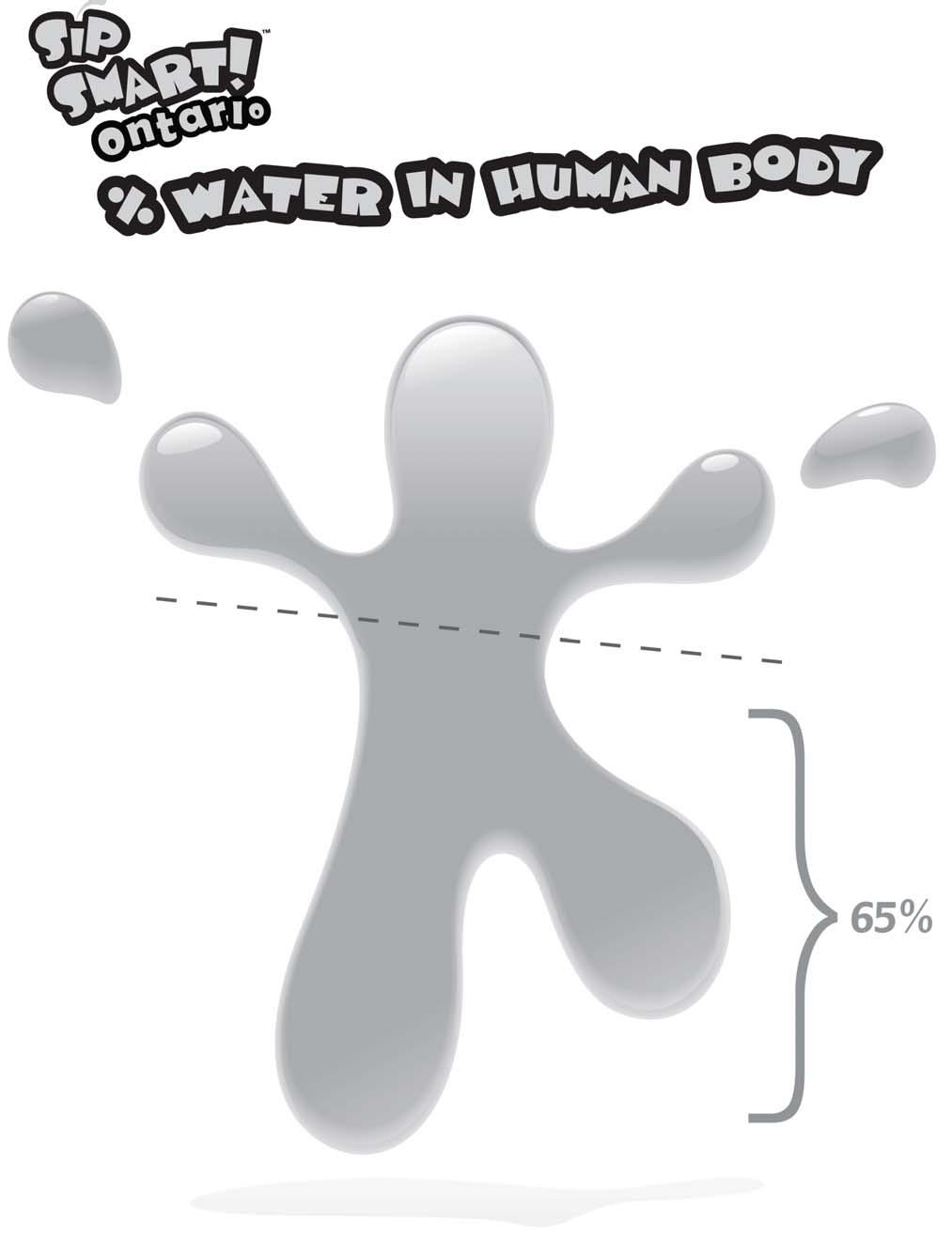 Teacher Resource 4: % Water in Human Body Page 40 Sip Smart!