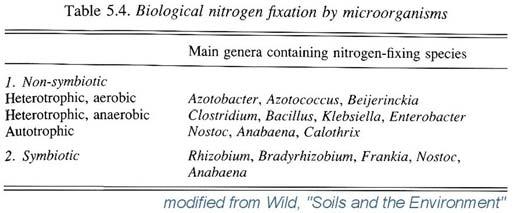 Microbes and Elemental Cycling The nitrogen cycle is particularly dependant upon microbes.