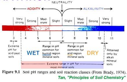 SOIL ACIDITY/ACIDIFICATION Natural soil ph reflects bedrock and DOC content.