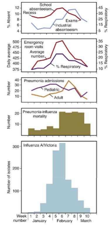 Epidemics express excess morbidity/mortality in excess pneumonia and influenza hospitalizations and deaths Attack rates usually highest in young, excess mortality in elderly Epidemic is an outbreak