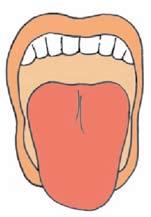 Relation of maxillary and mandibular incisors during voluntary protrusion of lower jaw Temporomandibular joint movement Visibility of uvula Shape of palate Compliance of mandibular space Shape of
