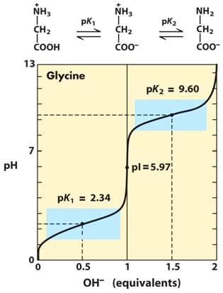 Amino Acids Titration of an Amino Acid Where does the zwitterion form occur? If the pk a of the carboxyl group of acetic acid is 4.76, why is the pk 1 of glycine s carboxyl group so much lower, at 2.