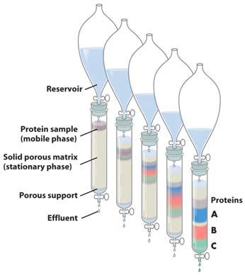 Working with Proteins Column Chromatography In any type of column chromatography, you have the mobile phase and the stationary phase There are two types of stationary phases: Non-adsorptive: No