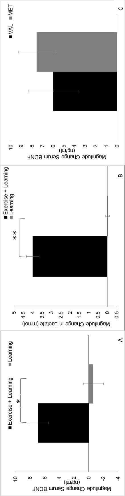 109 Figure 4.2 Magnitude change in peripheral serum BDNF (A) and Lactate (B) following high intensity upper extremity cycling (black) versus quiet sitting (gray). Data represents group averages.