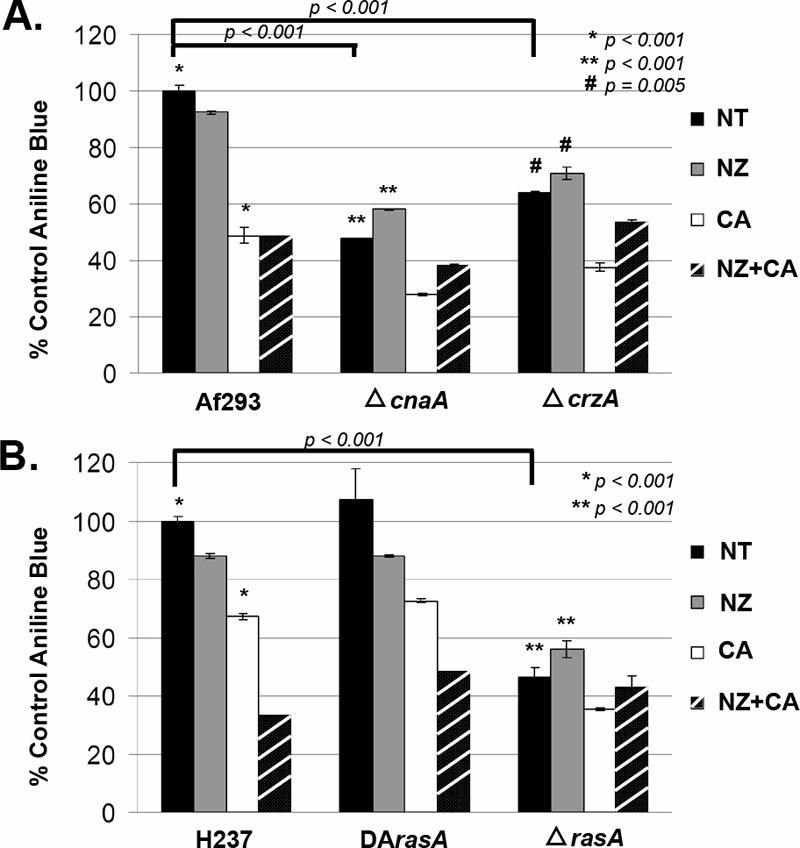 Loss of Ras or Calcineurin Signaling Decreases Baseline β-glucan Β-Glucan Levels Caspofungin treatment further decreases