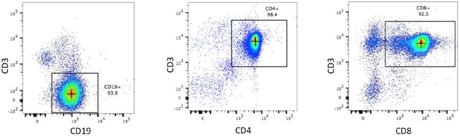 (A) 6 (B) Figure 3. Replacing CD8 positive selection with CD8+ T cell enrichment reduced the SSC of the lymphocytes and increased the purity of the cell population.