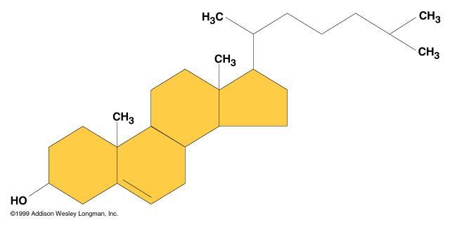 5. Steroids Structure: Four carbon rings with no fatty acid tails