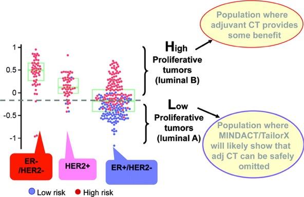Segregation of breast cancer subtypes using a gene expression proliferation
