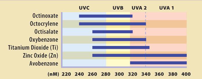 Sunscreen and the UV spectrum Sunscreen versus sunblock SPF30 is ideal ->