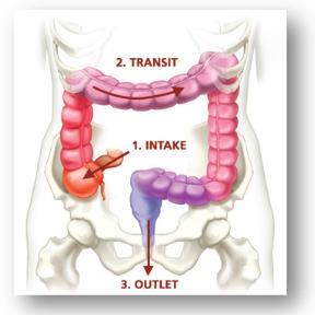 Understanding Constipation Constipation means infrequent or difficult bowel movements. It often occurs when digested food moves too slowly through the digestive tract.