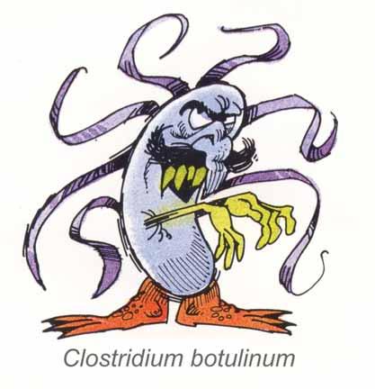 Clostridium botulinum Soil bacterium that requires an oxygen free environment.
