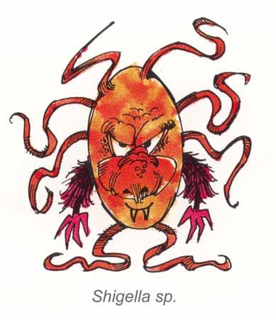 Shigella Only carried by humans and easily spread via food.