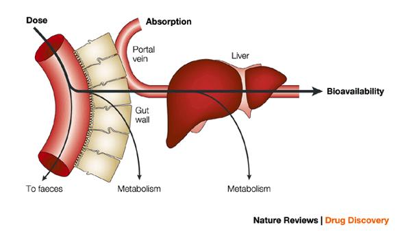 Extent of Absorption (Small Molecules Oral Dosing) Extent of absorption i.e. Bioavailability (F) Fraction absorbed from lumen (f a ): Fraction of drug in the GI lumen that enters gut tissues Fraction