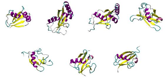 Figure 4: The simplicity of the β-grasp fold is shared by many different proteins. In the figures, from left to right; on the top : 1FMA.pdb, 1IBX.pdb, 1H8C.pdb, 1I42.