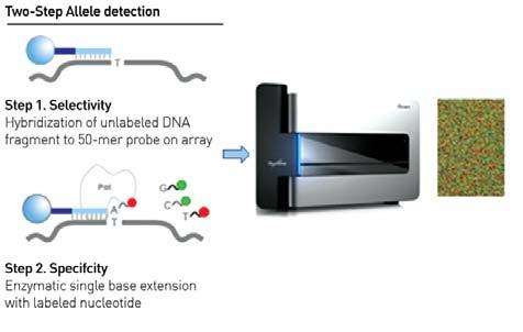 FISH or quantitative realtime PCR are used to confirm any abnormal findings either at the time